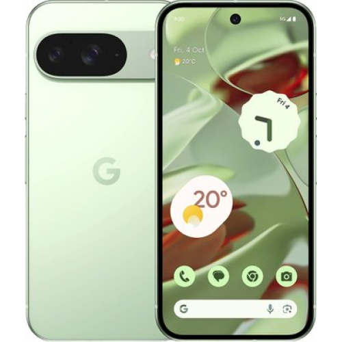 Телефон Google Pixel 9 12GB/256GB (винтергрин)