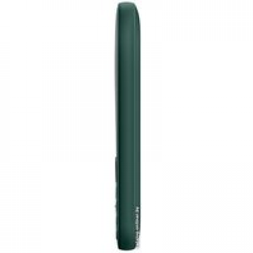 Телефон Nokia 6310 (2021) (зеленый)