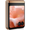 Телефон Motorola Razr 40 Ultra 12GB/512GB (персиковый)