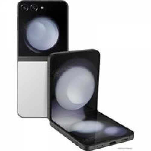 Телефон Samsung Galaxy Z Flip5 SM-F731B/DS 8GB/512GB (серый)