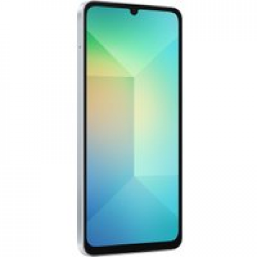 Телефон Samsung Galaxy A06 SM-A065F 4GB/64GB (голубой)
