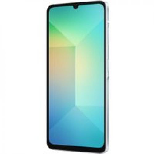 Телефон Samsung Galaxy A06 SM-A065F 4GB/64GB (голубой)
