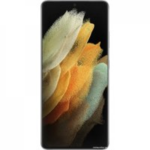 Телефон Samsung Galaxy S21 Ultra 5G SM-G9980 12GB/256GB (серебряный фантом)