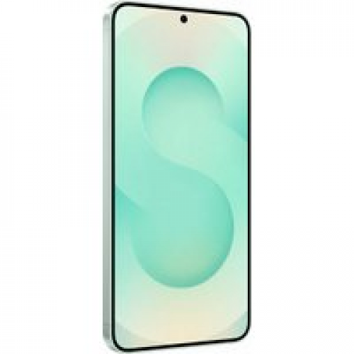 Телефон Samsung Galaxy S25 SM-S931N 12GB/256GB (мятный)