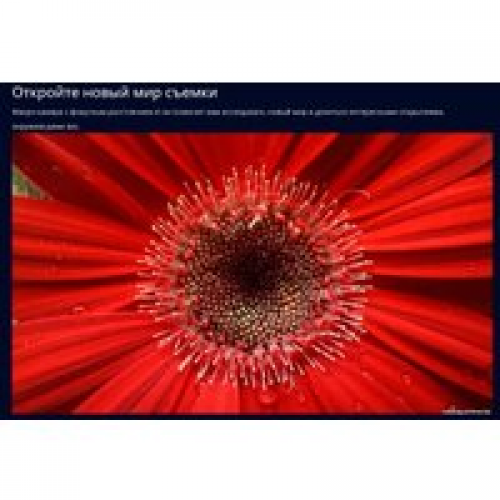 Телефон Realme 9 5G 4GB/128GB международная версия (черный)