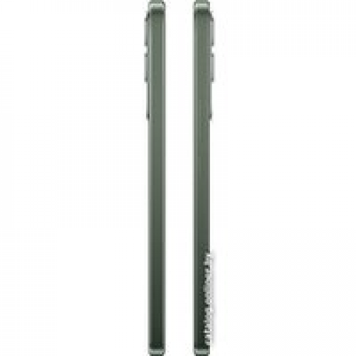 Телефон Vivo V29e 8GB/256GB международная версия (таинственный лес)