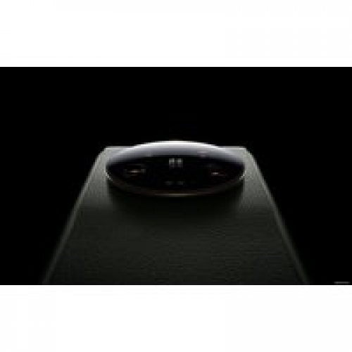 Телефон Xiaomi 13 Ultra 12GB/256GB китайская версия (оливковый зеленый)