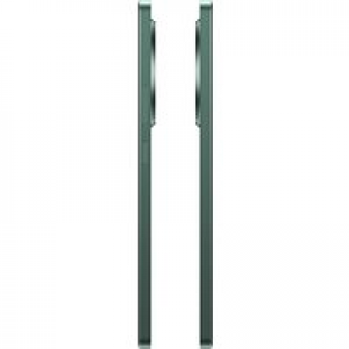 Телефон Realme 12 RMX3871 8GB/256GB международная версия (зеленый малахит)