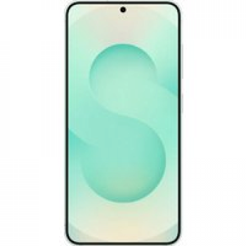 Телефон Samsung Galaxy S25 SM-S931N 12GB/512GB (мятный)