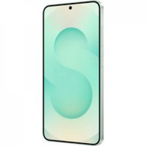 Телефон Samsung Galaxy S25 SM-S931N 12GB/512GB (мятный)