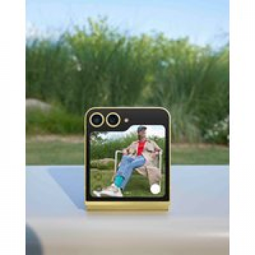 Телефон Samsung Galaxy Z Flip6 SM-F741B 12GB/256GB (желтый)