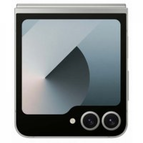 Телефон Samsung Galaxy Z Flip6 SM-F741B 12GB/512GB (серый)