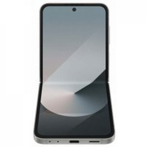 Телефон Samsung Galaxy Z Flip6 SM-F741B 12GB/512GB (серый)