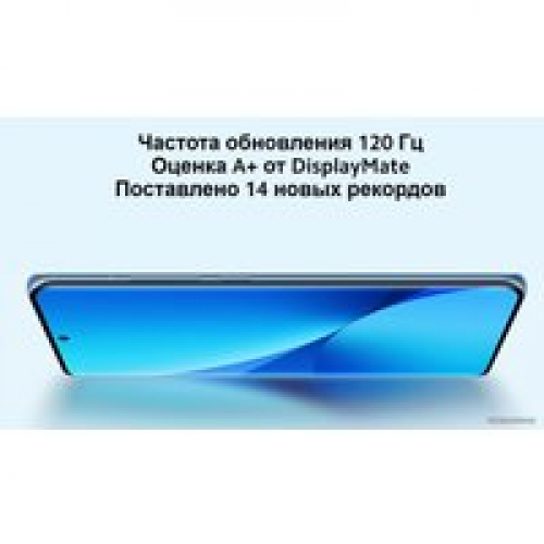 Телефон Xiaomi 12X 8GB/256GB международная версия (серый)