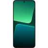 Телефон Xiaomi 13 12GB/256GB международная версия (светло-зеленый)
