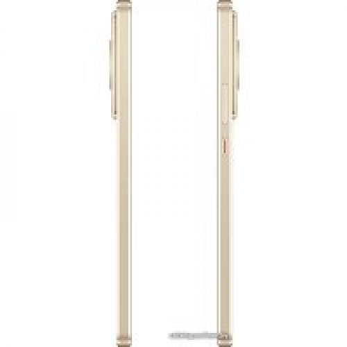Телефон Huawei nova 11 FOA-LX9 8GB/256GB (золотистый)