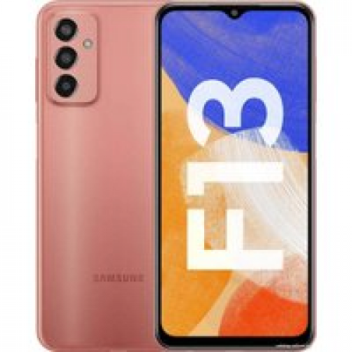 Телефон Samsung Galaxy F13 SM-E135F/DS 4GB/64GB (медный)