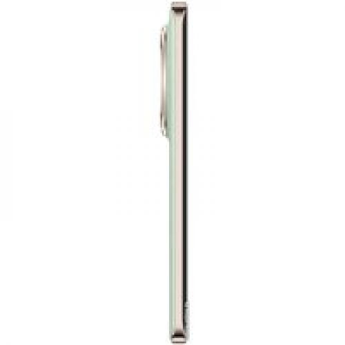 Телефон HONOR Magic6 Pro 16GB/1TB международная версия с NFC (шалфейный зеленый)