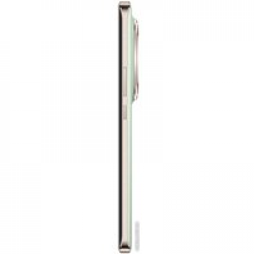 Телефон HONOR Magic6 Pro 16GB/1TB международная версия с NFC (шалфейный зеленый)