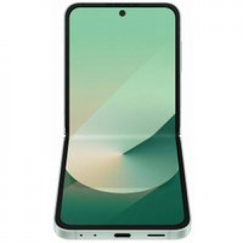 Телефон Samsung Galaxy Z Flip6 SM-F741B 12GB/512GB (мятный)