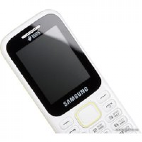 Телефон Samsung Guru Music 2 (белый) [B310E]